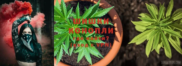 мет Верея